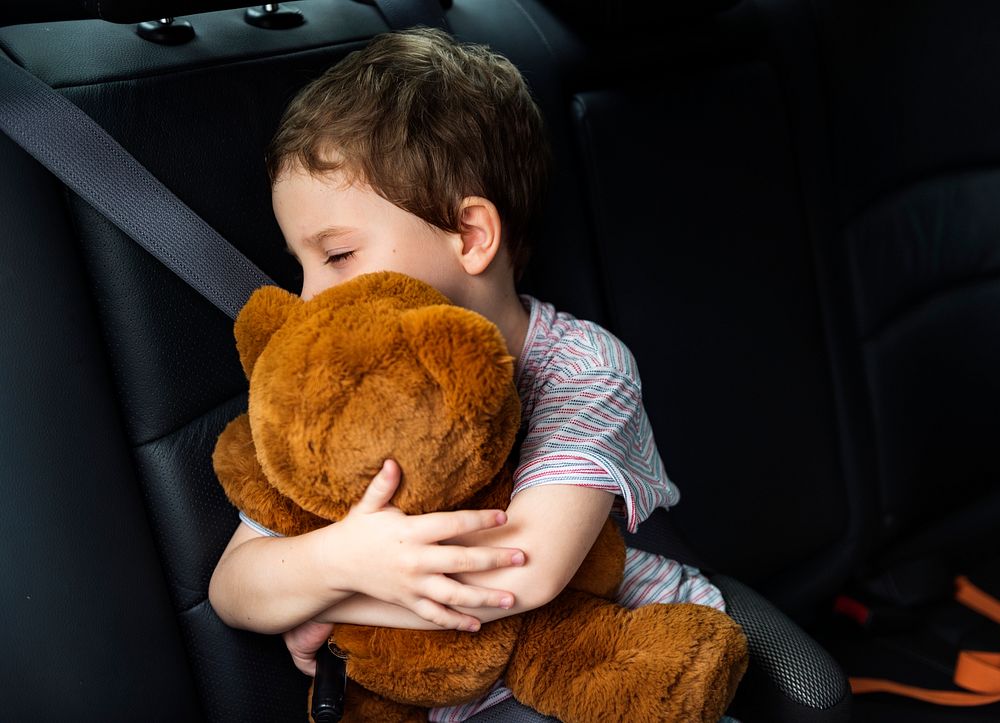 Boy hugging teddy bear in the car