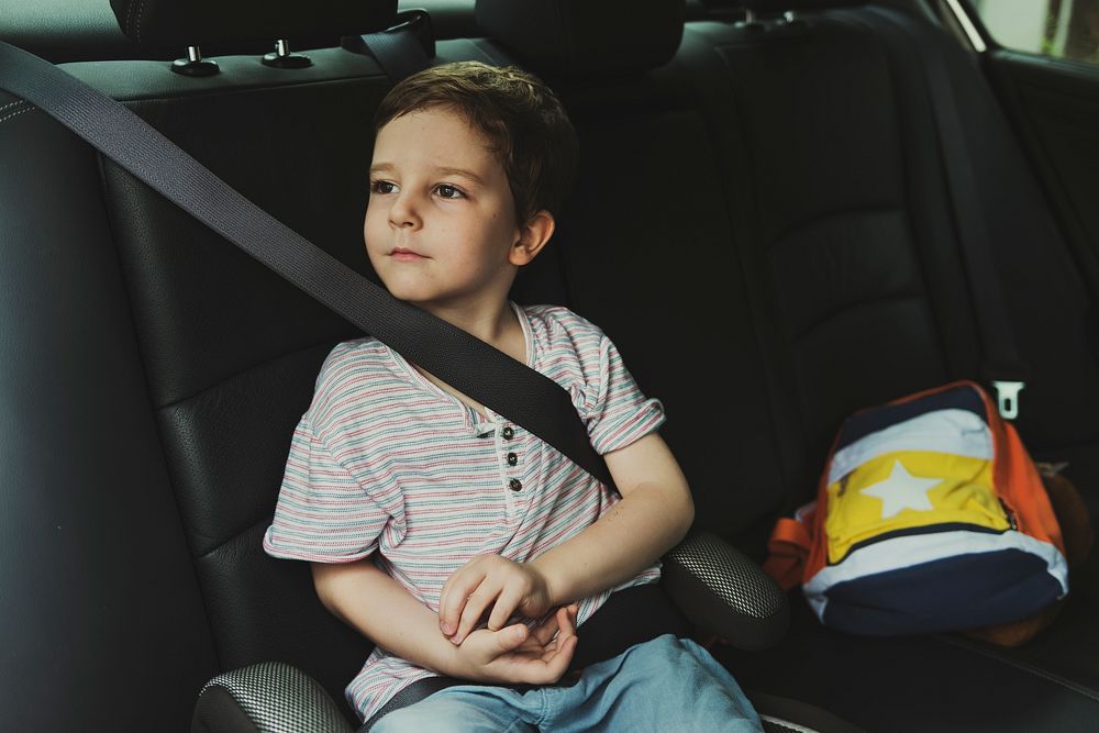 Boy into the Car Using Seatbelt Protect Security