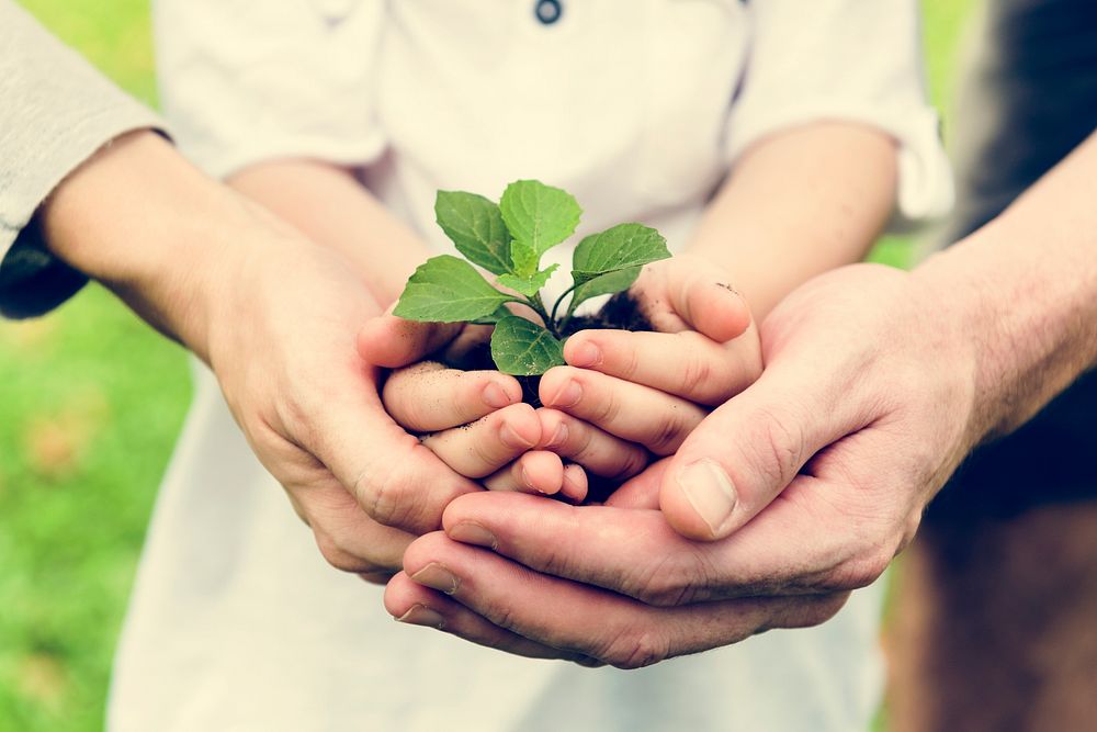 Environmental conservation people holding hands with soil and pl