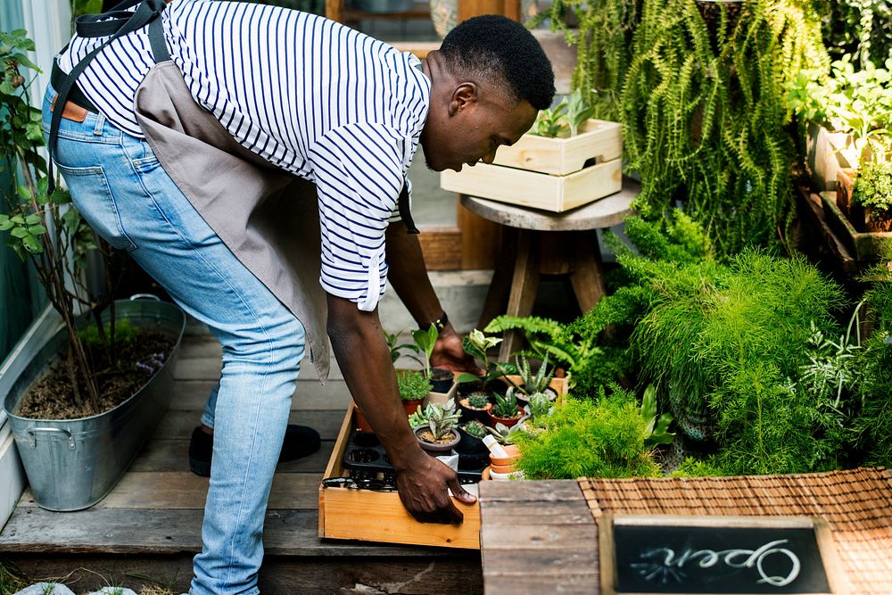 Adult Man Checking Plants Outside Flower Shop