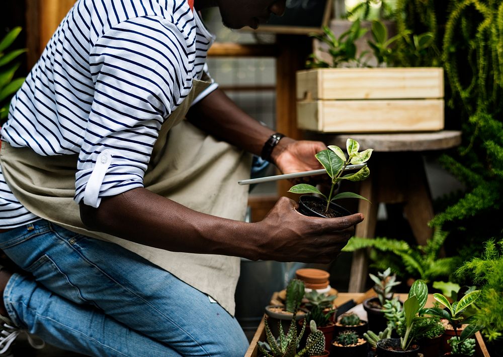 Adult Man Checking Plants Outside Flower Shop