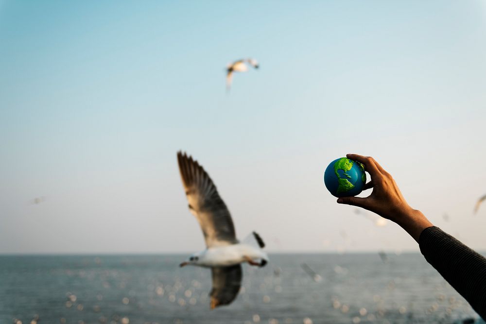 Hand holding out a small globe with bird background