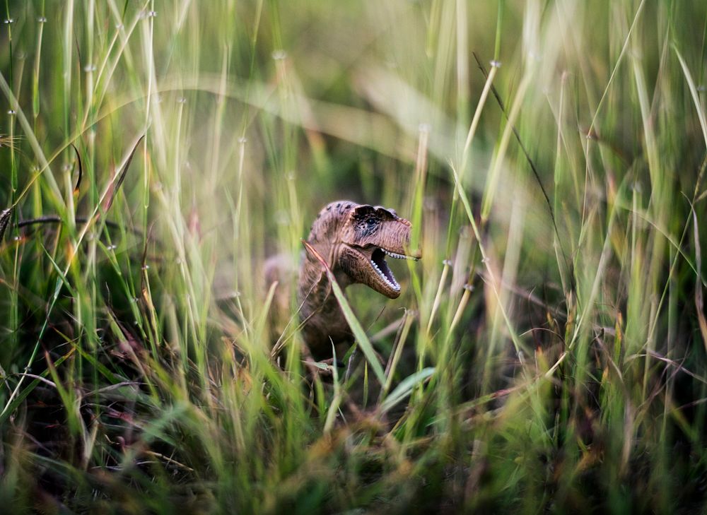 Tyrannosaurus rex toy in the grass