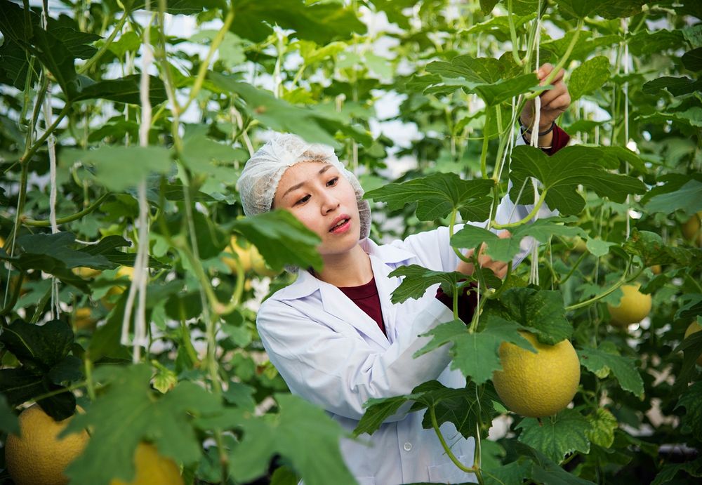 Asian scientist studying plants and fruits