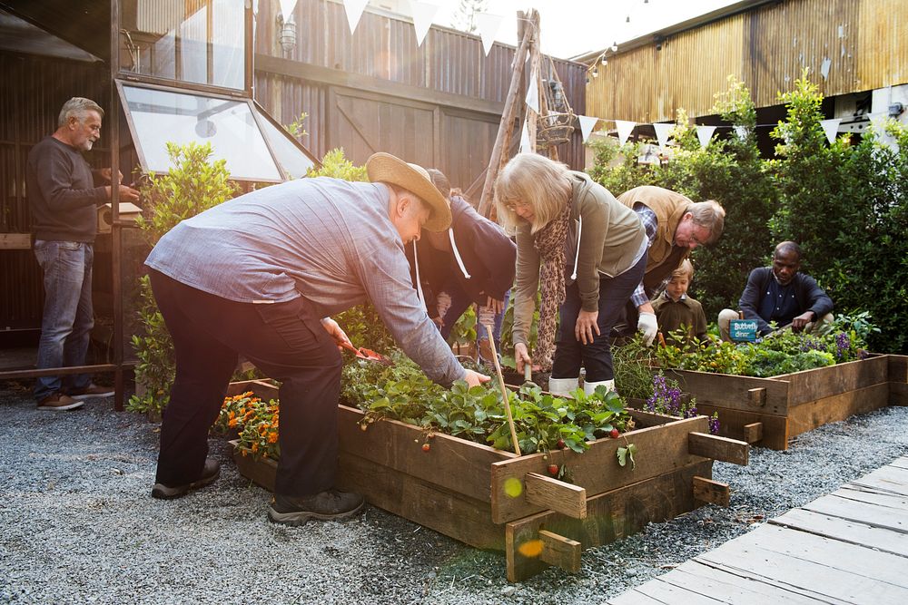 Group of people gardening backyard together