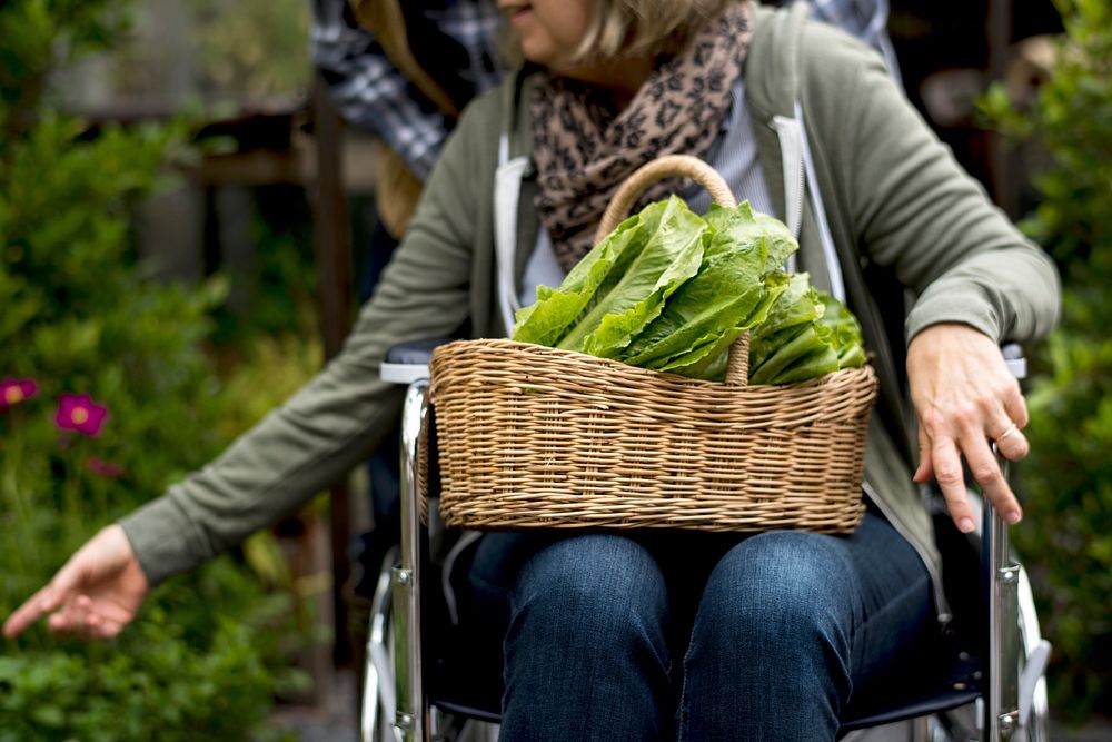 Senior Woman Sitting On Wheelchair with Fresh Vegetable