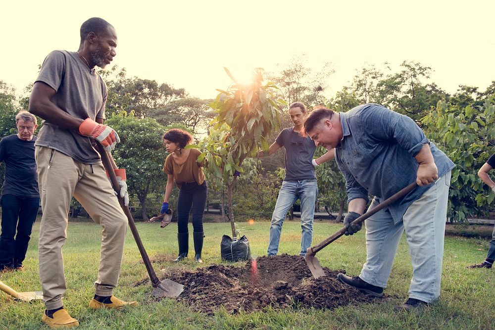 Group of Diverse People Digging Hole Planting Tree Together