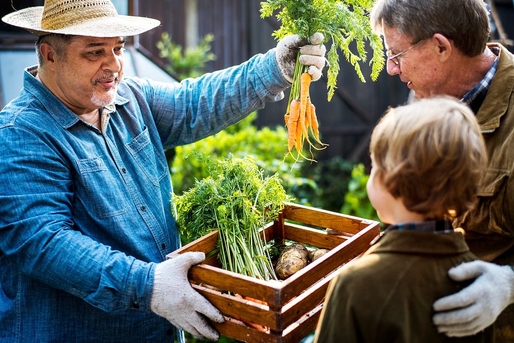 Farmer with organic nature product vegetables