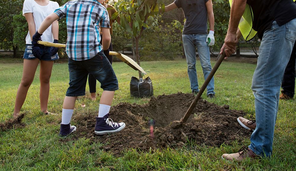 Group of Diverse People Digging Hole Planting Tree Together