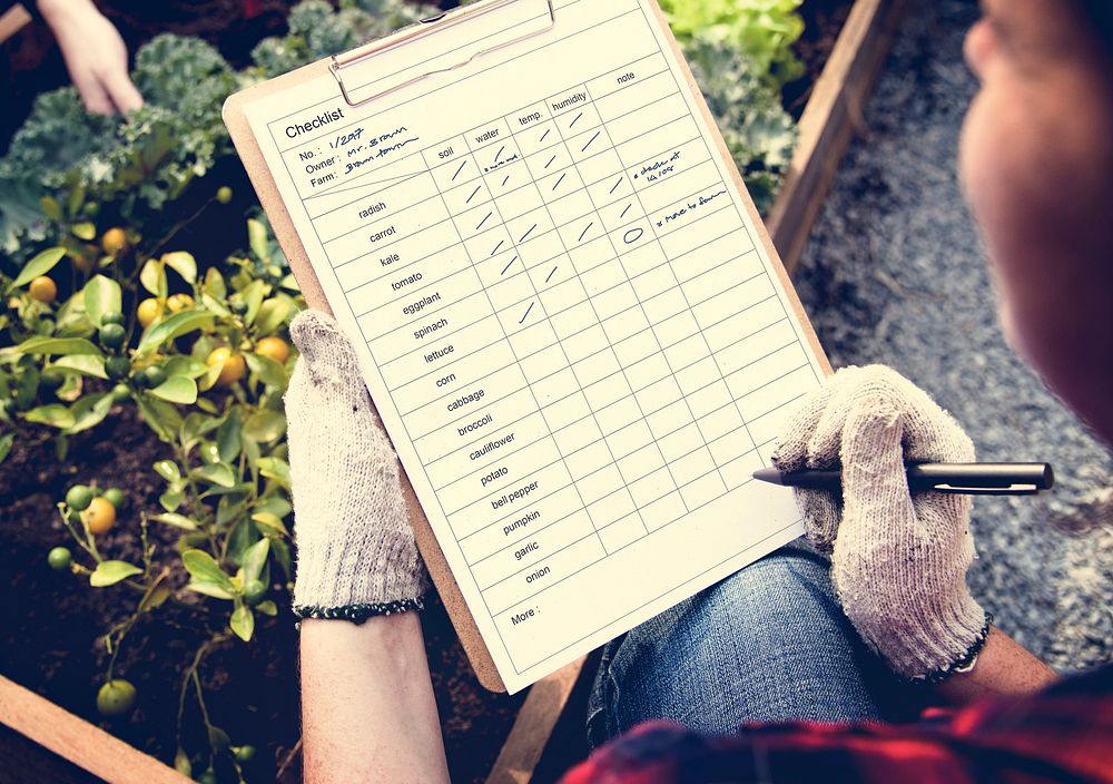 Woman checking list on clipboard for organic fresh agricultural