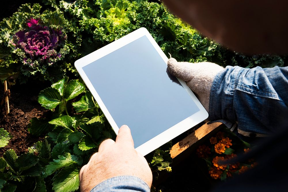 Human hand holding digital tablet organic fresh agricultural product