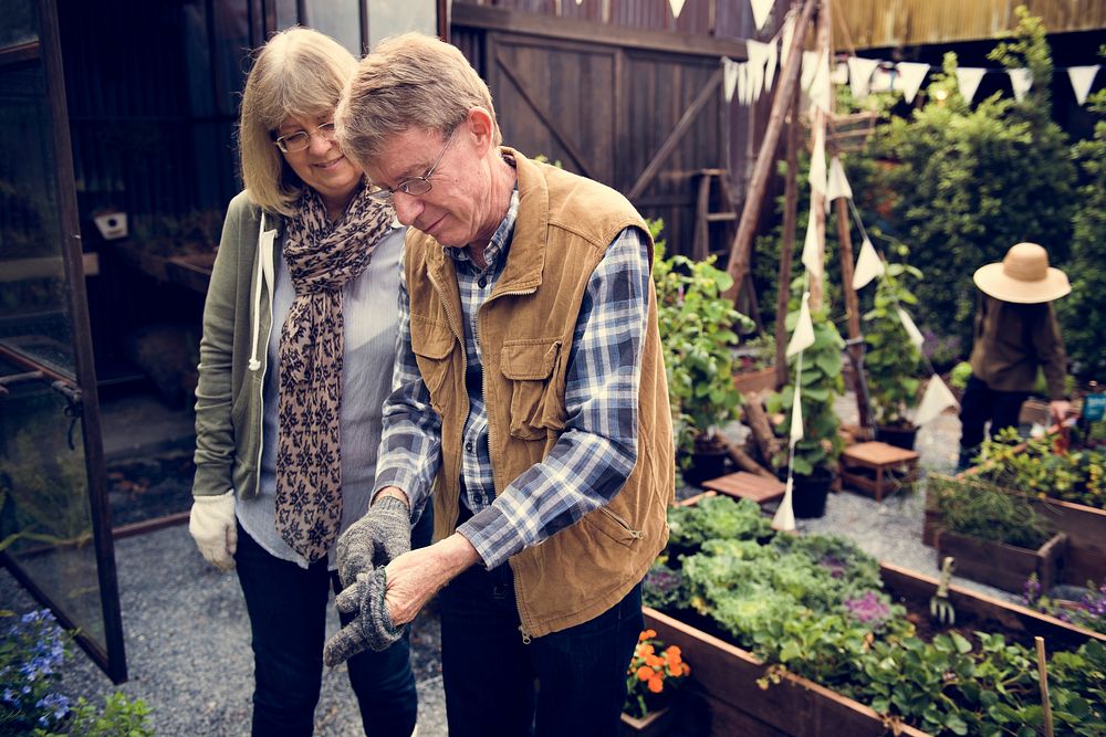 Senior couple planting vegetables at garden backyard