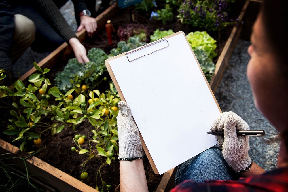 Woman checking list on clipboard for organic fresh agricultural product
