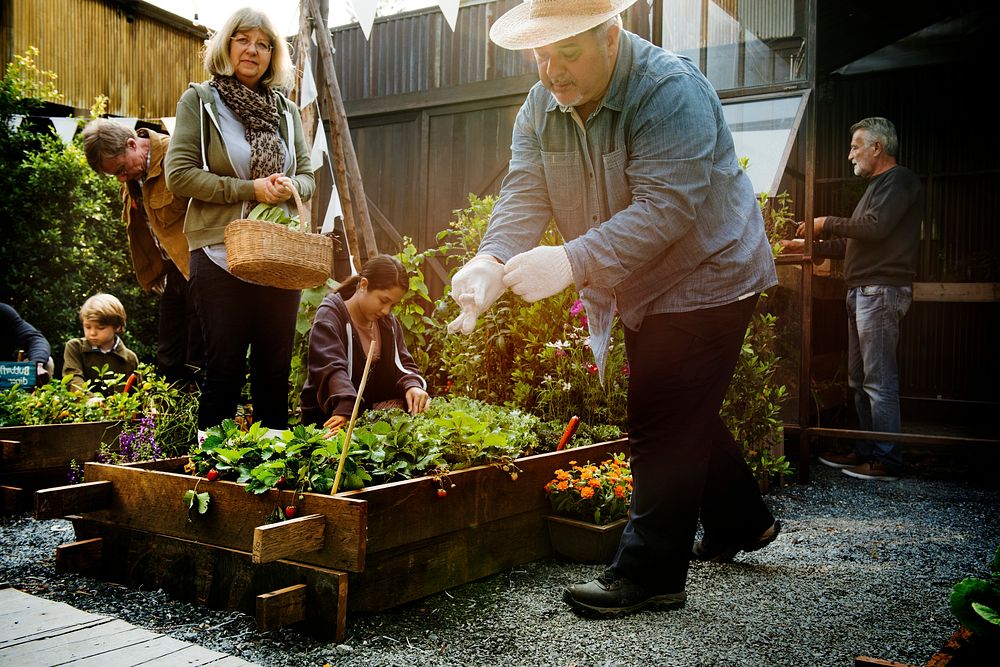 People Planting Harvest Garden Green