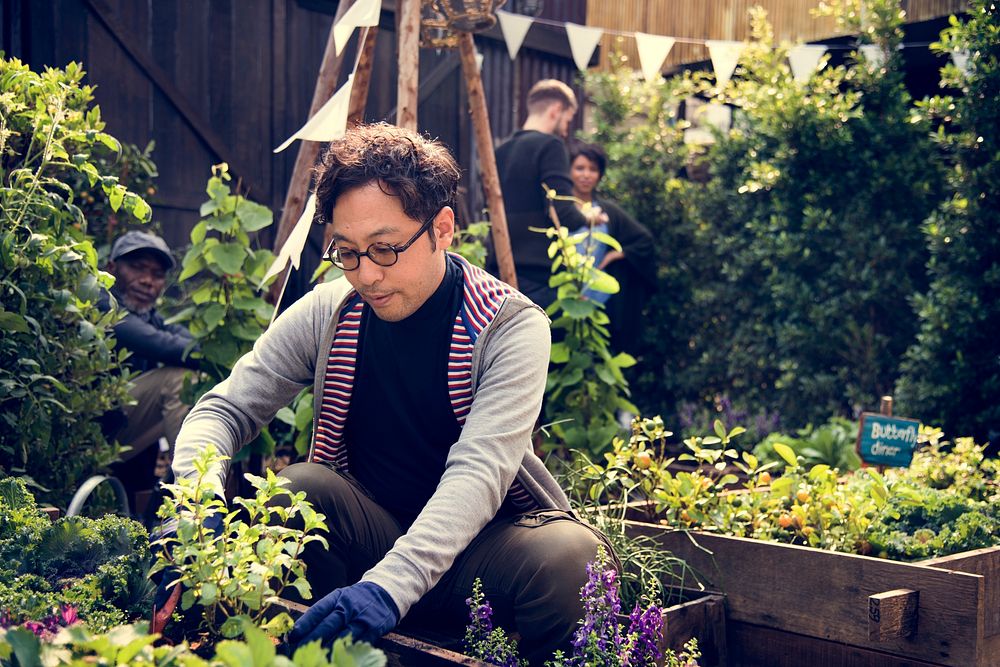 Asian man gardening tranplanting outdoors