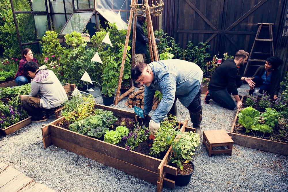 People Planting Harvest Garden Green