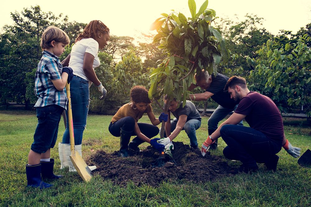 Diversity of People Planting Tree Unity