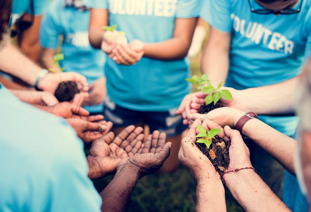 Group of volunteer with sprout for growing