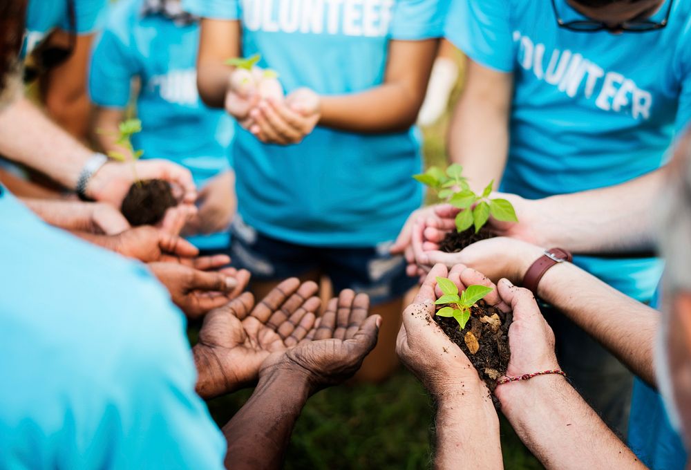 Group of volunteer with sprout for growing