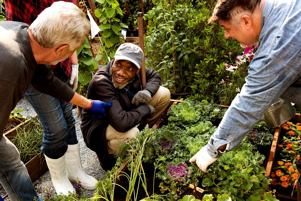 Group of people gardening backyard together