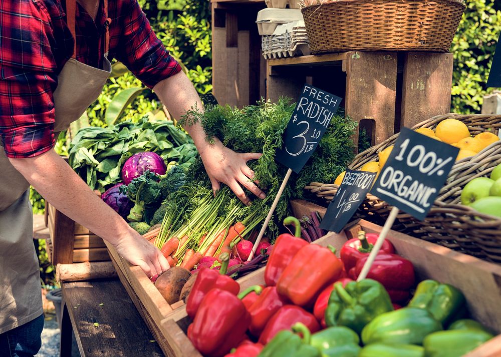 Greengrocer preparing organic fresh agricultural product at farm