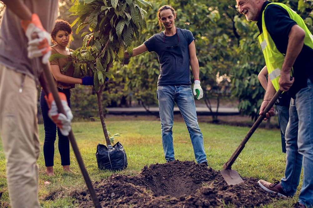 Group of people plant a tree together outdoors