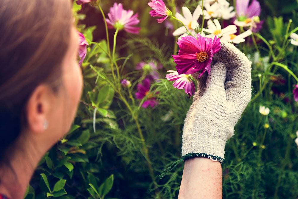 Woman picking flower in the garden