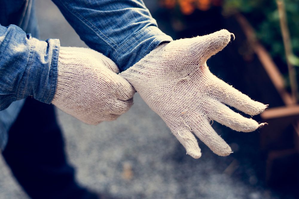 People Hands Wearing Gardening Gloves