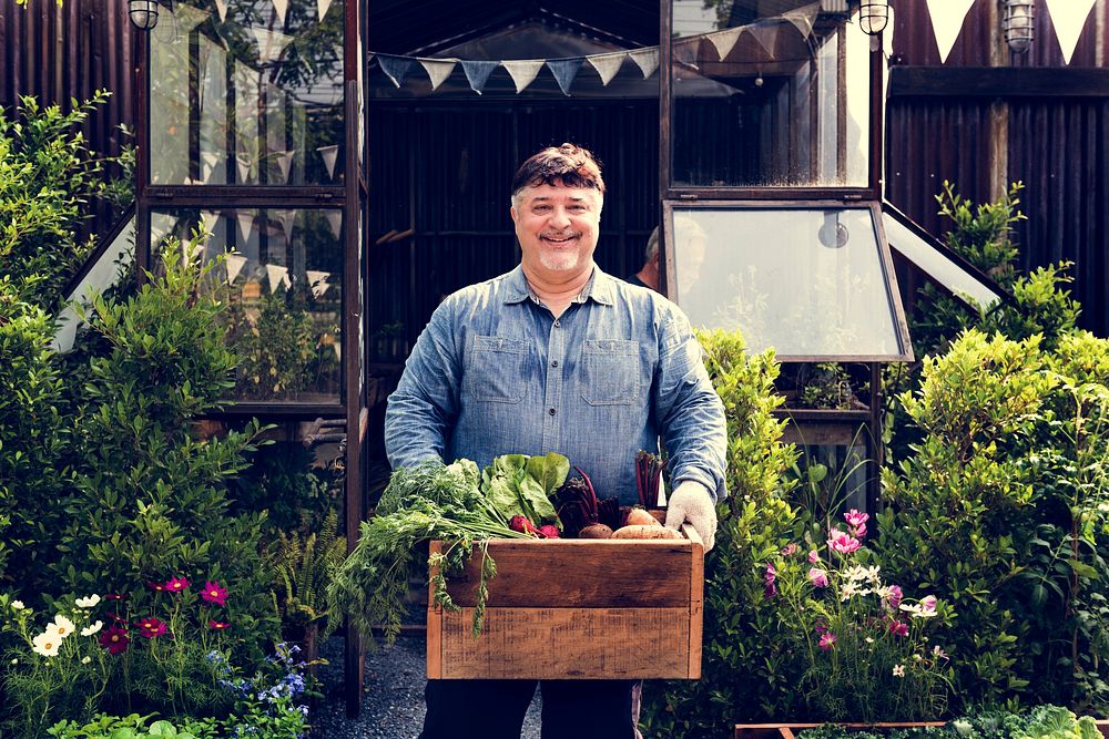 Adult Man Hands Holding Wooden Box of Fresh Vegetable From Farm