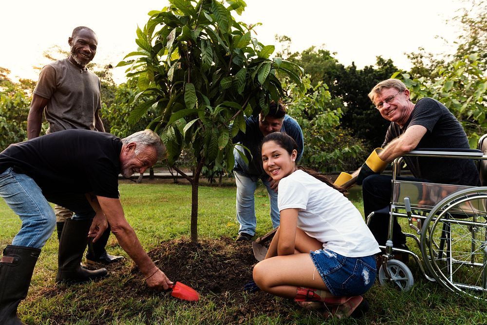 Group of Diverse People Planting Tree Together