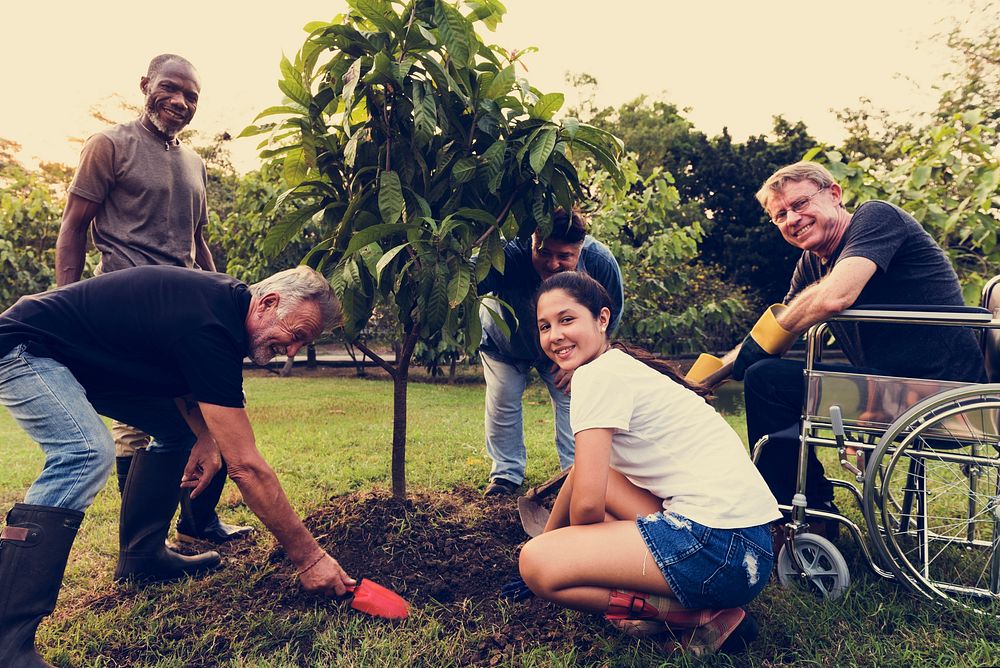 Group of Diverse People Planting Tree Together