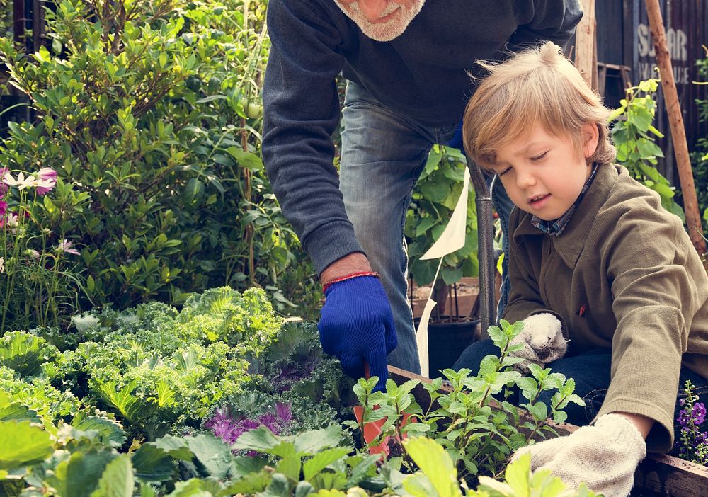 Young boy gardening with grandpa