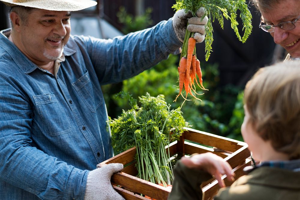 Adult Farmer Man Offering Fresh Carrot
