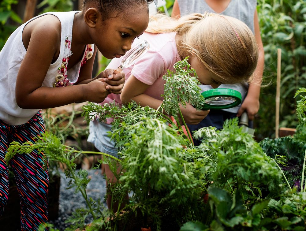 Group of Diverse Kids Learning Environment at Farm