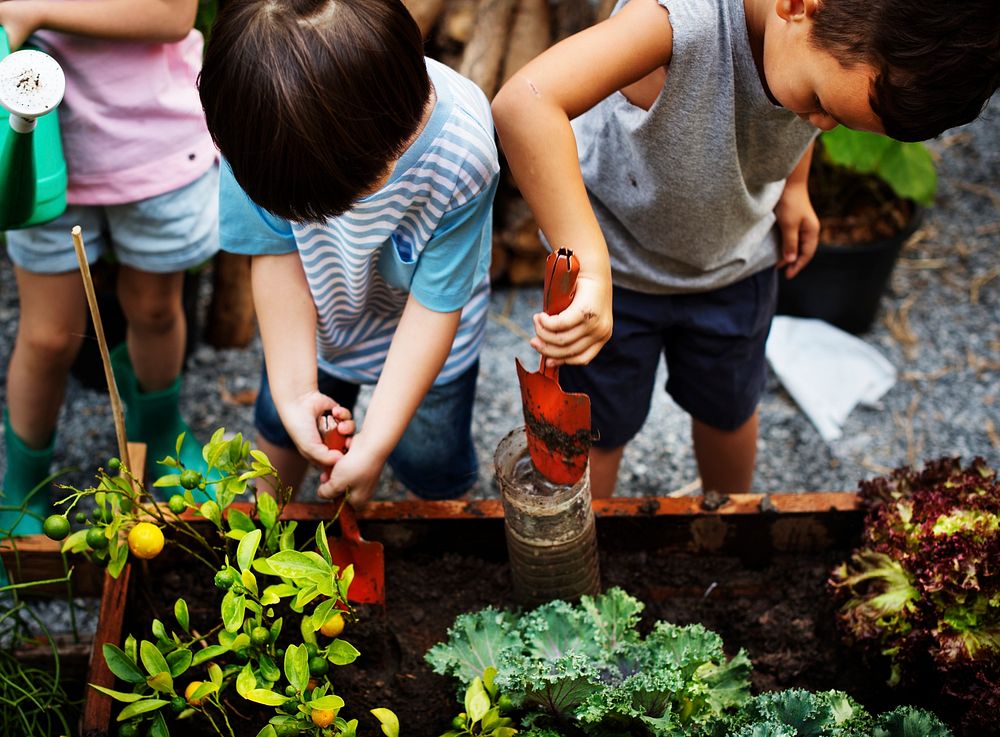 Diverse group of children planting