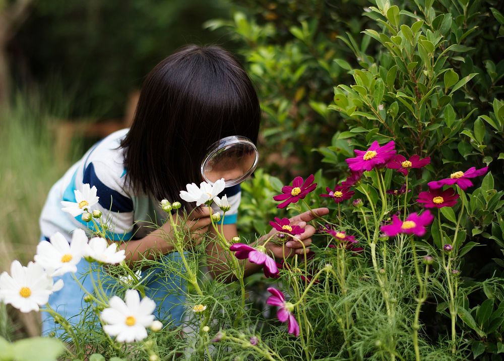 Little girl observing the flowers