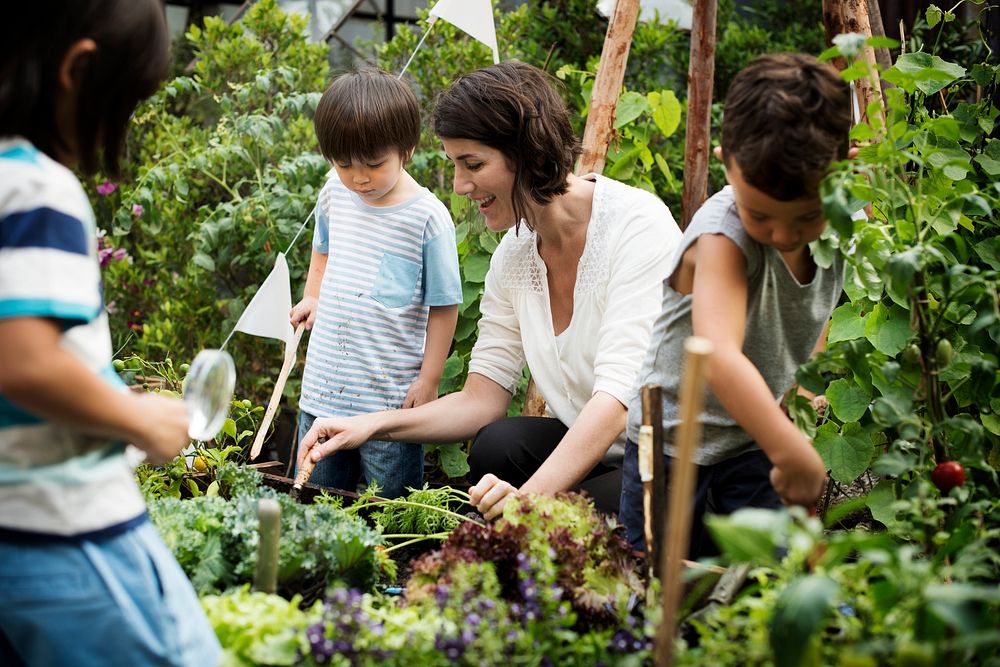 Group of children planting vegetable in greenhouse