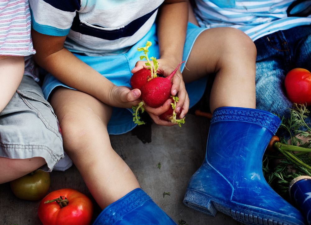 Little boy in his boots with garden produce