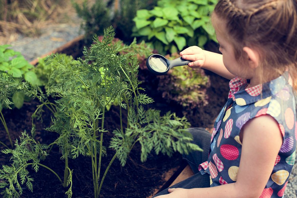 Little girl learning plant biology