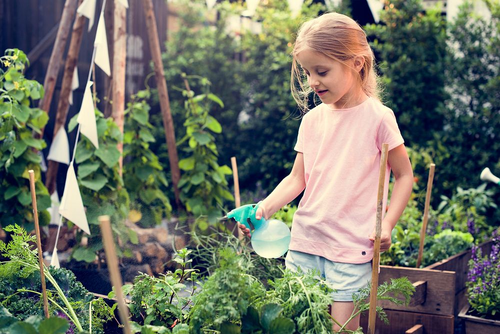 Little girl watering organic fresh agricultural product