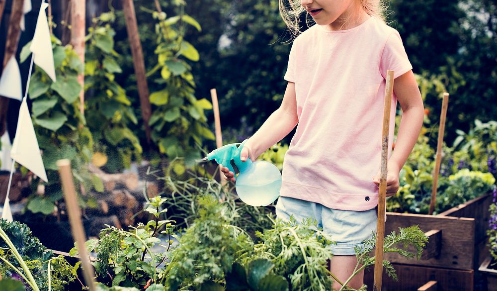 Little girl watering organic fresh agricultural product
