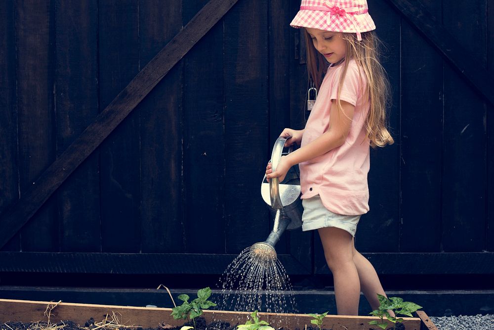 A girl is watering a plants