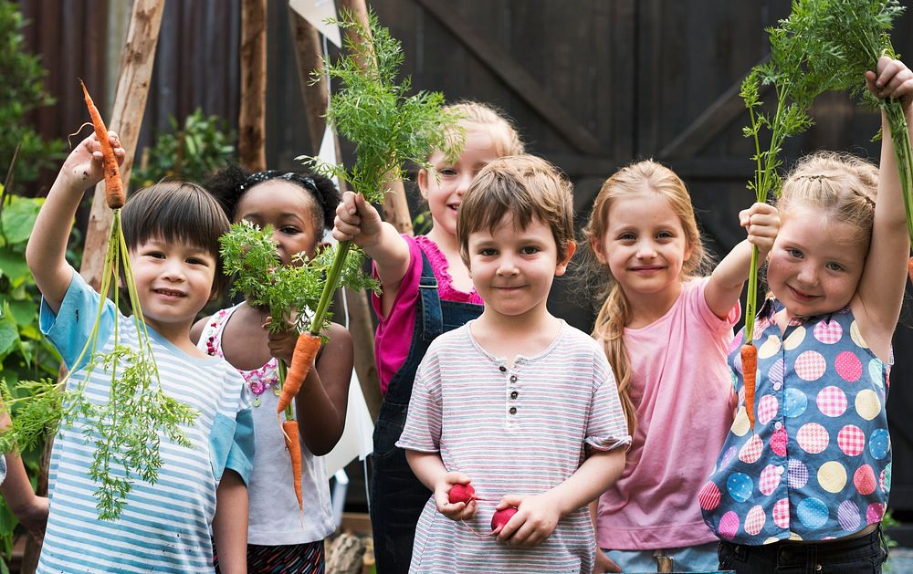 Group of kindergarten kids learning gardening outdoors