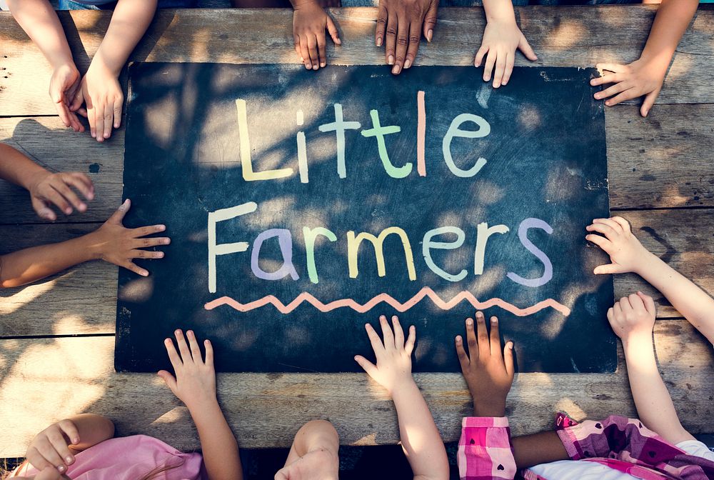Little Farmers word is on the board