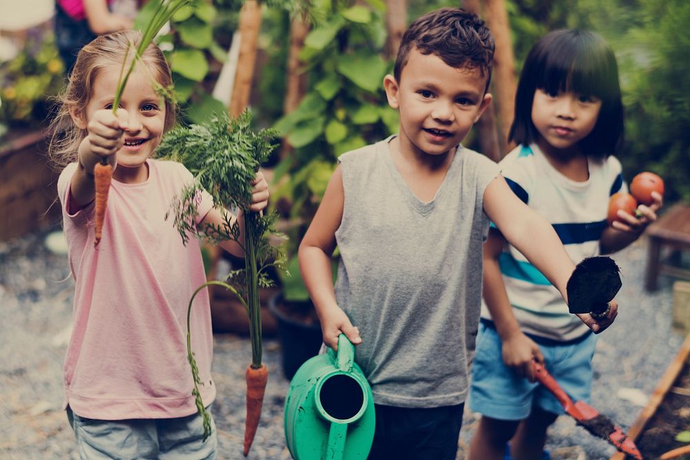 Children are in a garden