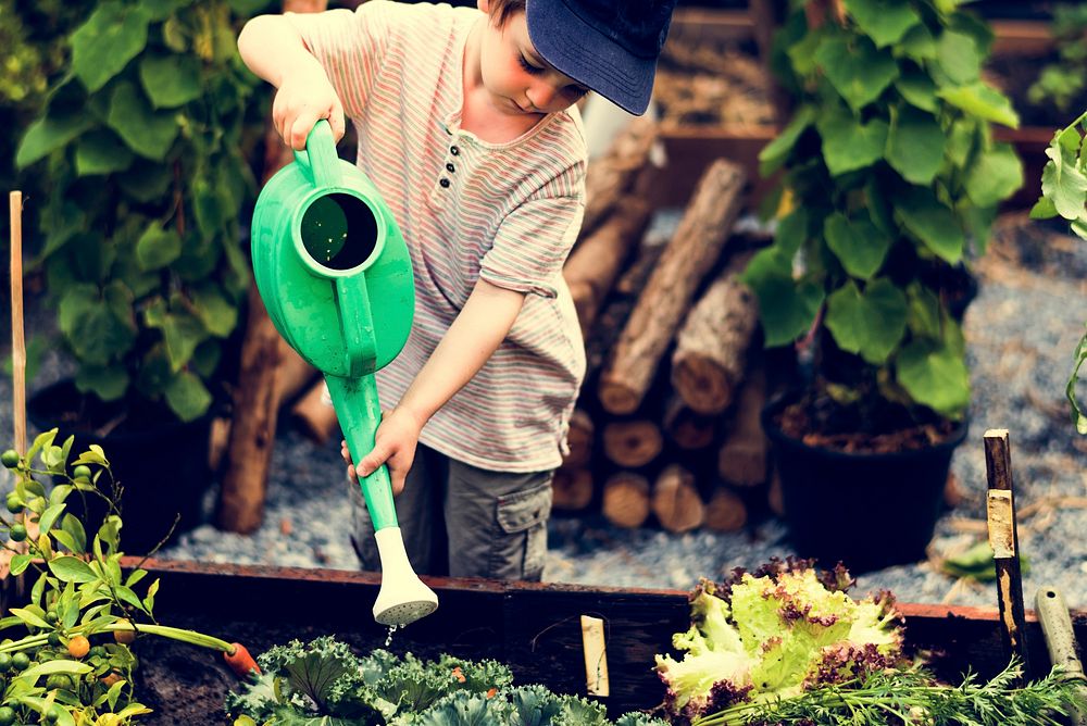 Children are in the garden watering the plants