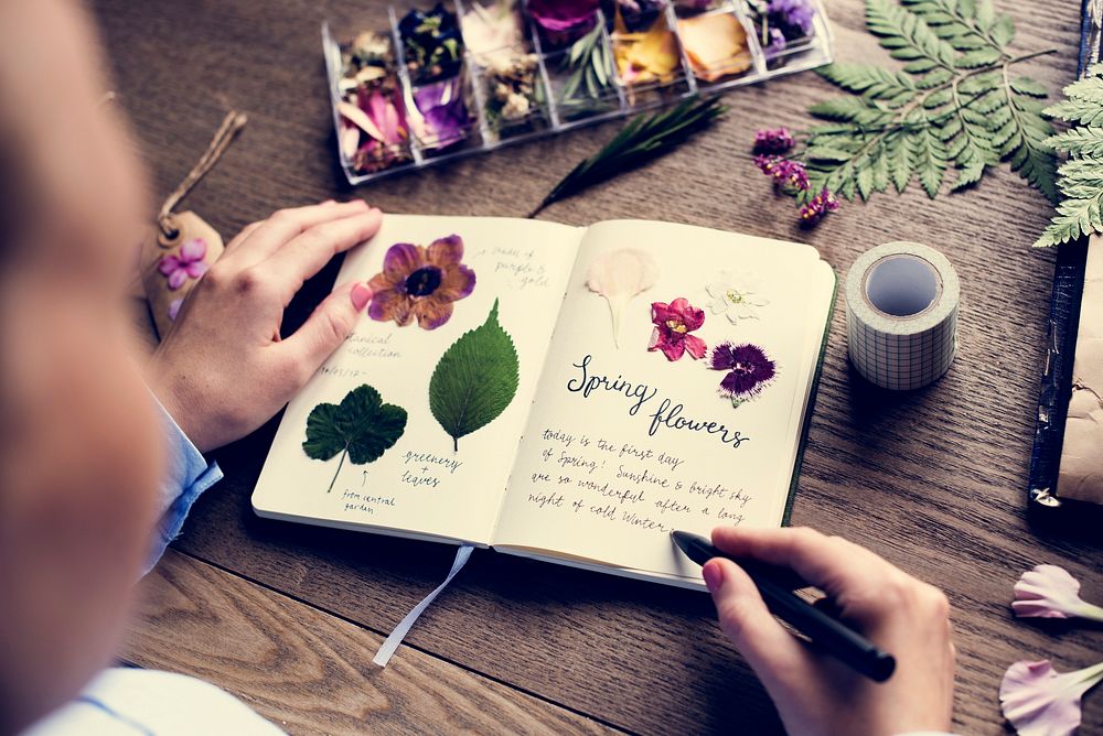 Hands Writing Detail of Dried Flowers Collection in Notebook Han