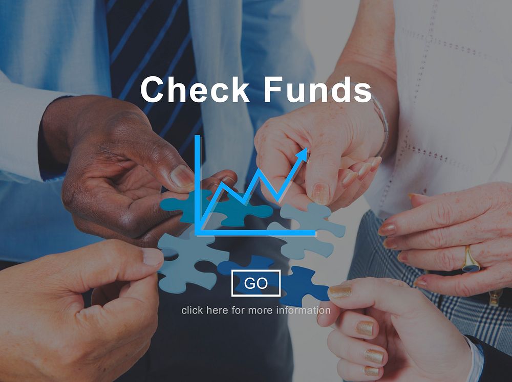 Check Funds Progress Chart Interface Concept