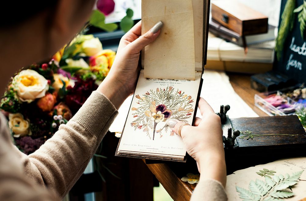 Hands holding dried flower book 