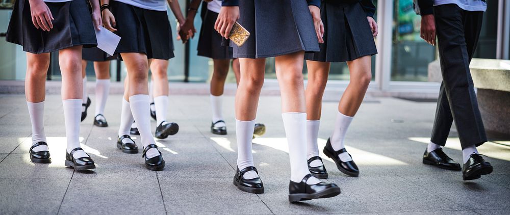 Group of schoolgirl walking in the school